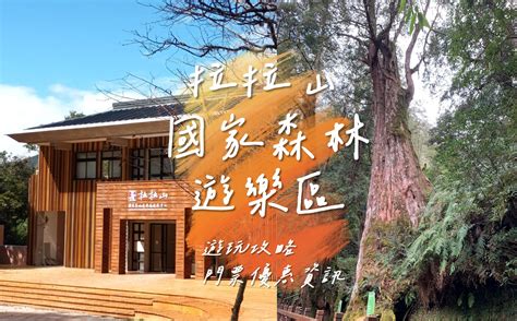 拉拉山旅遊懶人包：避暑勝地、賞花秘境的深度攻略