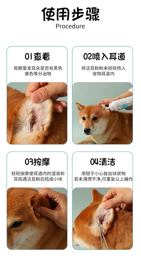 拔 狗 耳 毛：讓愛犬擺脫耳道困擾的終極指南