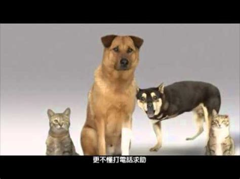 拯救動物生命：