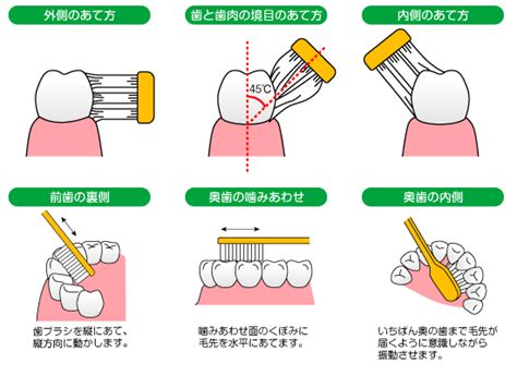 指で歯磨き：効果的な口腔ケアの古代的方法