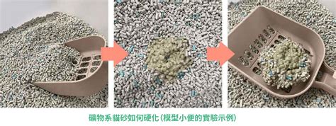 挑剔貓專用貓砂：滿足高標準貓咪的如廁需求