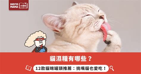 挑嘴貓咪有哪些症狀？