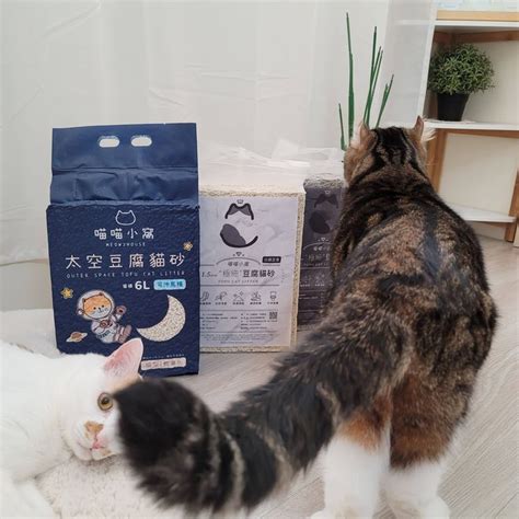 挑嘴貓貓的救星：Fussie Cat 貓砂，為你的愛貓打造舒適如廁體驗