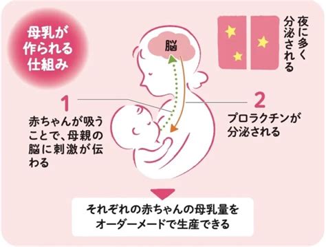 授乳の利点