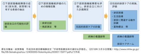 排せつに関する包括ガイド