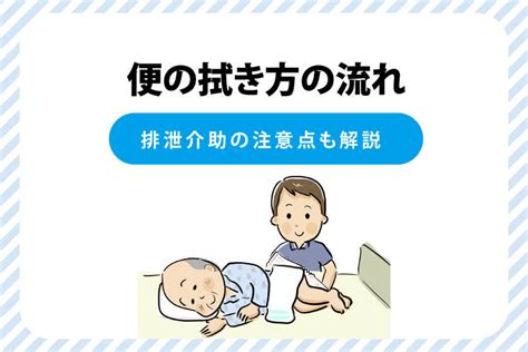 排せつのすべて: 健康的な排せつを維持するための包括ガイド