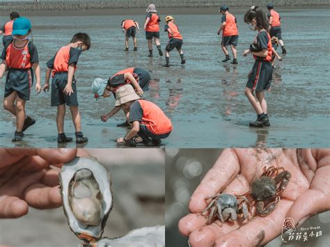 採蚵體驗：親手拾取海洋珍寶，體驗漁村文化