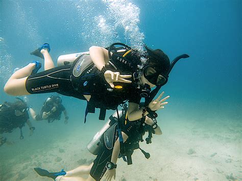 探索未知：潛水之旅