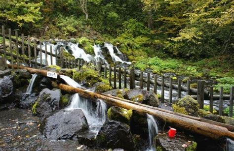 探索水資源的寶庫：羊蹄山名水公園