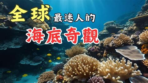 探索海洋的迷人世界，展開一場令人難忘的航程。