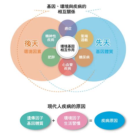 提升整體健康和預防疾病的 Provida