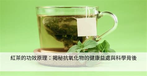 揭秘養生聖品背後的歷史與科學