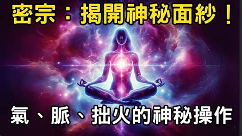 揭開努洛貓糧的神秘面紗：深入探討其優點、成分和餵食建議