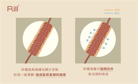 擺脫頭髮毛躁，展現自信神采