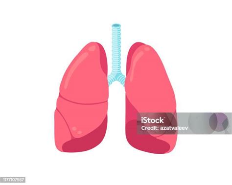 支氣管保健的重要性