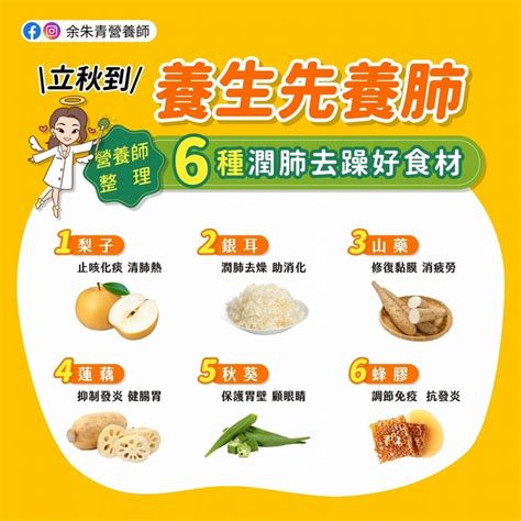 支氣管保健食品：守護肺部健康