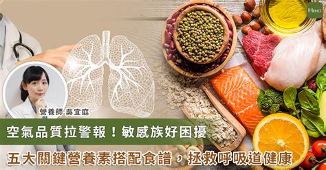 支氣管保健食品：護肺防咳，守護呼吸道健康