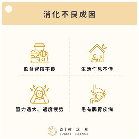 改善消化: