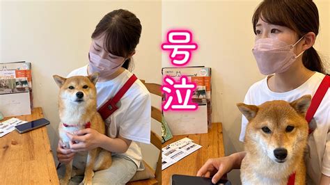 故くなった動物と会話できる人々