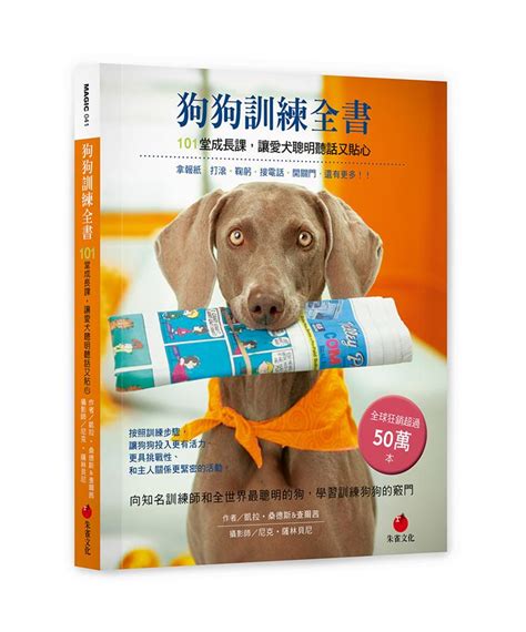 教育性益智玩具，讓愛犬聰明又快樂