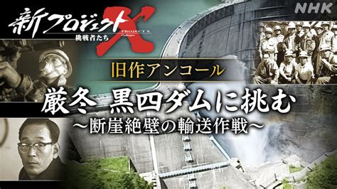 断崖絶壁の犬たち: 生きるために苦闘するペットの救出