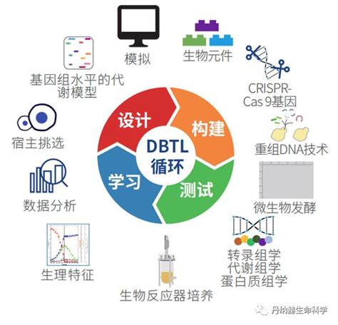 新一代的生物技術革命