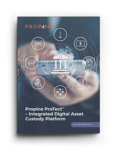 新加坡 Propine Holdings: A Comprehensive Overview