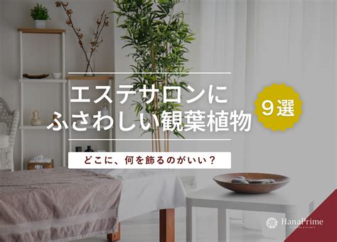 新松戸エリアでおすすめのエステサロン徹底ガイド