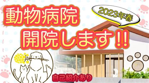 新浦安で安心の動物病院探し：完全ガイド