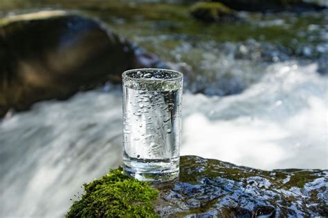 新鮮な水を常時提供する