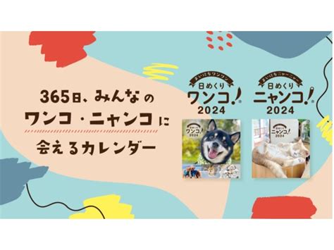 日めくりカレンダーが愛犬家に愛される理由