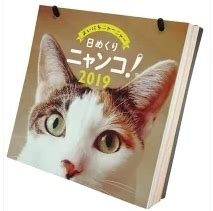 日めくり 猫カレンダーで日々を癒されよう！