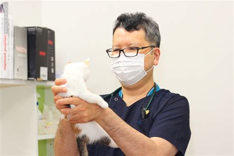 日本における動物病院の最新動向：ペアン動物病院の事例から学ぶ