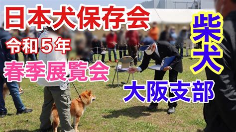 日本犬保存会: