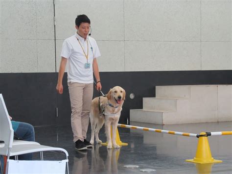 日本盲導犬協会：目の見えない人々の生活に光をもたらす