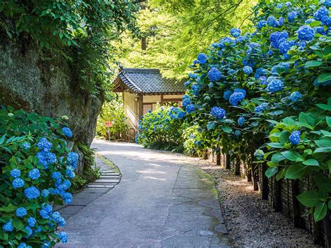 明月 院 鎌倉