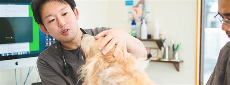 明石 ほん まち 動物 病院: ペットの健康を守る頼れる味方