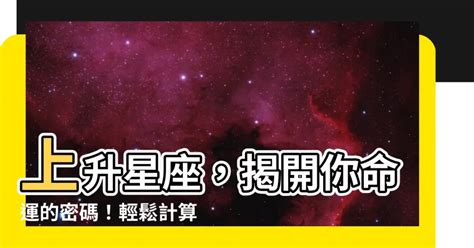 星座狗：揭開星象密碼，深入了解你的毛小孩