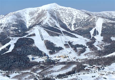 星野 Tomamu 度假村滑雪場：體驗北海道頂級冬季活動