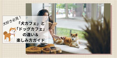 春日井でおすすめの犬カフェガイド：犬好き必見！