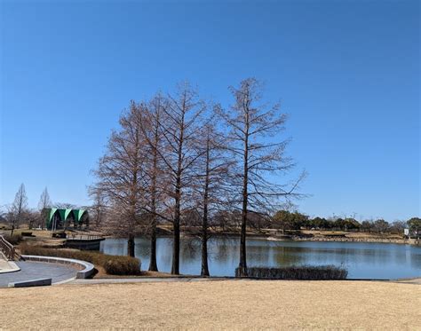 春日井市落合公園：オアシスのような緑豊かな公園