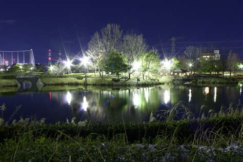 春日井市落合公園：自然の楽園を探索するガイド