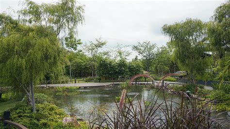 春日井市落合公園 - 緑豊かな魅力のオアシス