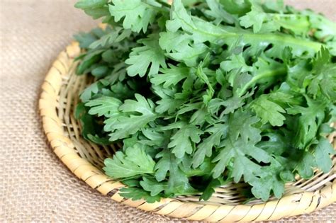 春菊 生食は危険！知っておくべき健康上のリスク