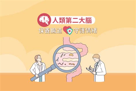 普羅泰信：腸道健康守護者