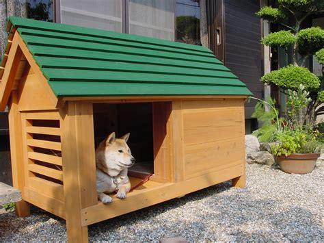 暖かい犬小屋: 愛犬に快適で安全な避難所を提供する