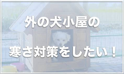 暖かく安全な犬小屋で愛犬を寒さから守る