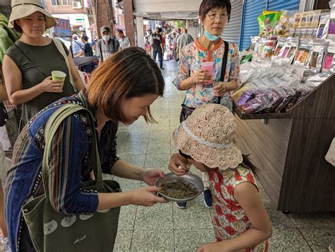 暢遊濟州，滿載而歸：不可錯過的保養聖品