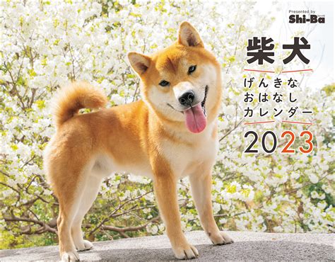 最強の癒し系、柴犬の吸い方完全ガイド