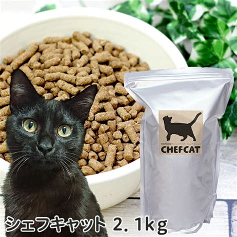 最高の栄養で愛猫の健康をサポートするプレミアム キャットフードの選び方とおすすめブランド